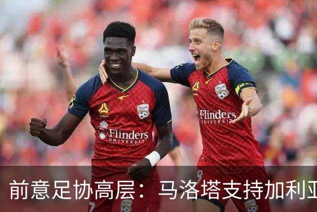 前意足协高层：马洛塔支持加利亚尼竞选足协主席，意甲已分裂