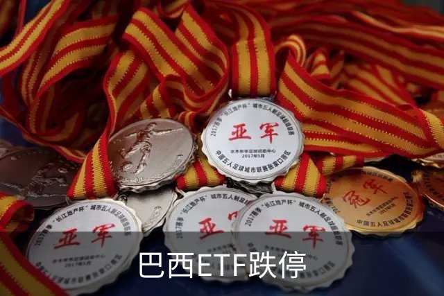 巴西ETF跌停