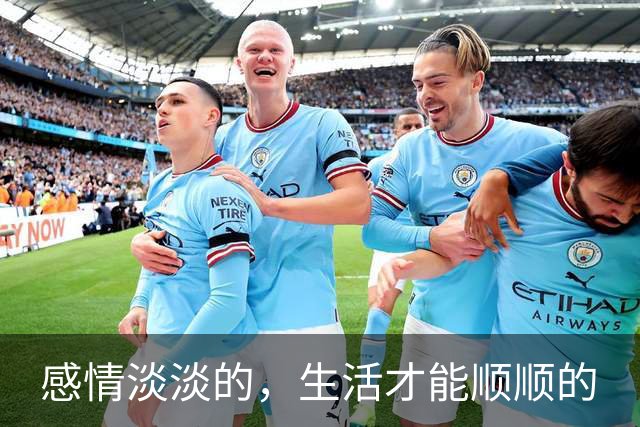感情淡淡的，生活才能顺顺的