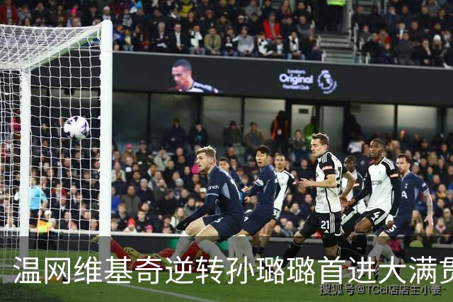 温网维基奇逆转孙璐璐首进大满贯4强 鲍里妮晋级