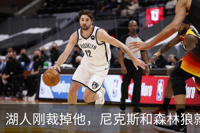湖人刚裁掉他，尼克斯和森林狼就盯上了