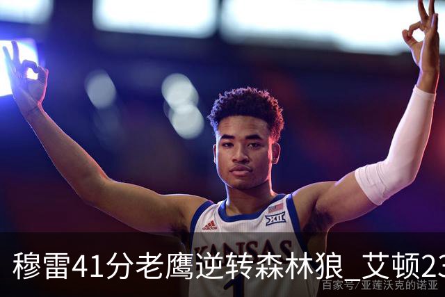穆雷41分老鹰逆转森林狼 艾顿23板开拓者首胜