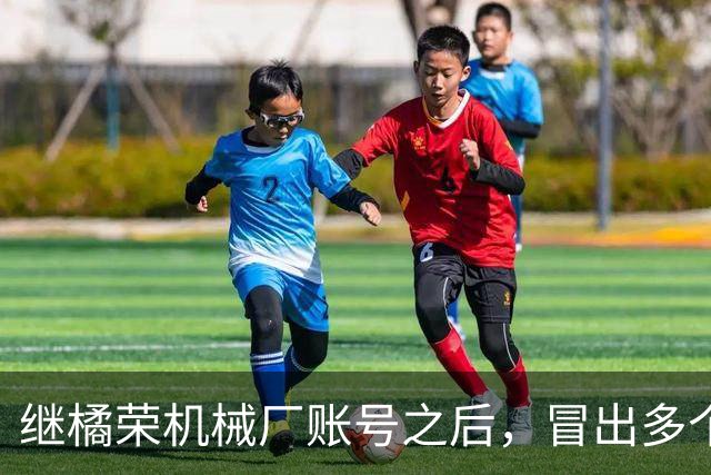 继橘荣机械厂账号之后，冒出多个账号表态支持陈宇昕披旭日旗言论