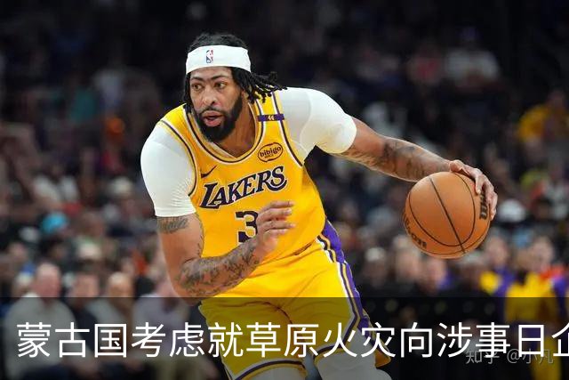 蒙古国考虑就草原火灾向涉事日企索赔
