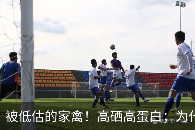 被低估的家禽！高硒高蛋白；为什么说香菜，是一种对大脑不错的蔬菜？