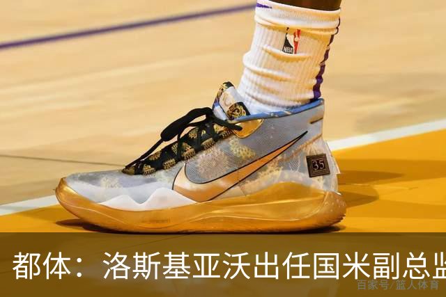都体：洛斯基亚沃出任国米副总监，负责U23梯队
