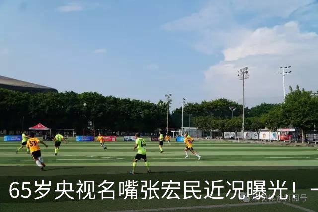 65岁央视名嘴张宏民近况曝光！一生未婚没有孩子，如今退休独居北京让人唏嘘